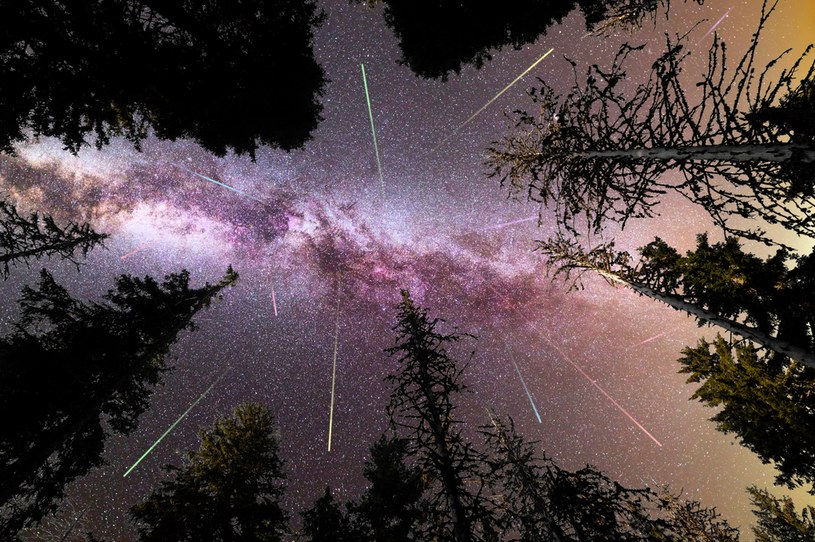 Noce spadających gwiazd w 2023 roku. Kiedy deszcz meteorów na niebie?